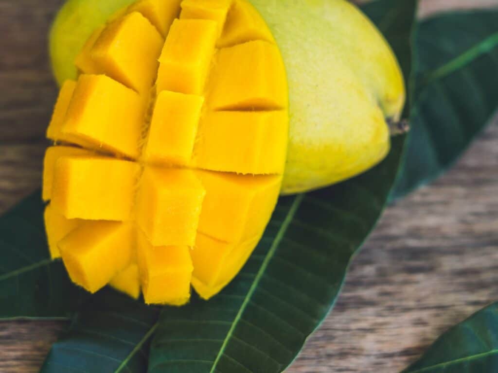 Can Babies Eat Mango